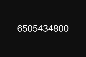 6505434800