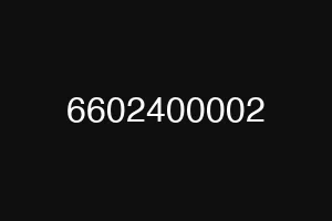 6602400002