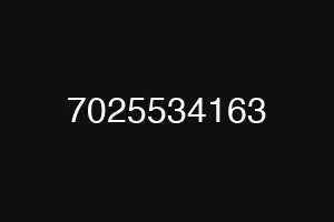 7025534163