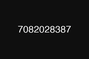 7082028387