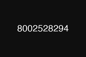 8002528294