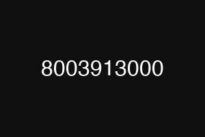 8003913000