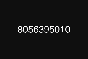 8056395010