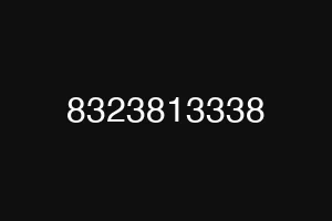8323813338
