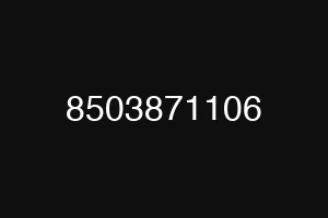 8503871106