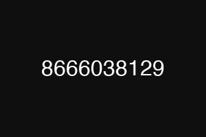8666038129