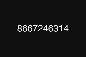 8667246314