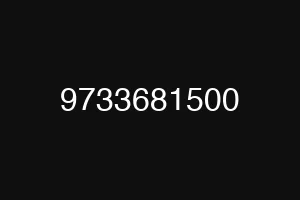 9733681500
