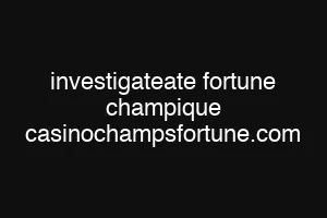 investigateate fortune champique casinochampsfortune.com